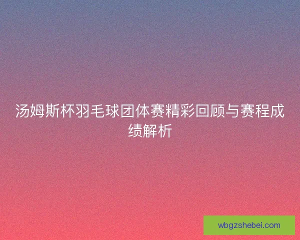 汤姆斯杯羽毛球团体赛精彩回顾与赛程成绩解析