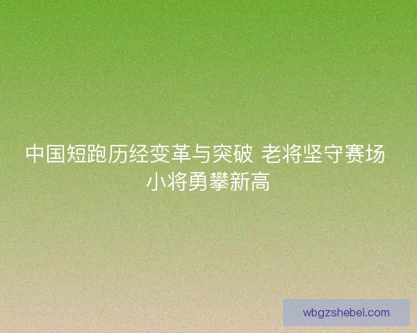 中国短跑历经变革与突破 老将坚守赛场 小将勇攀新高