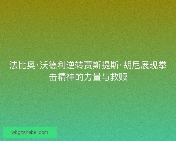 法比奥·沃德利逆转贾斯提斯·胡尼展现拳击精神的力量与救赎